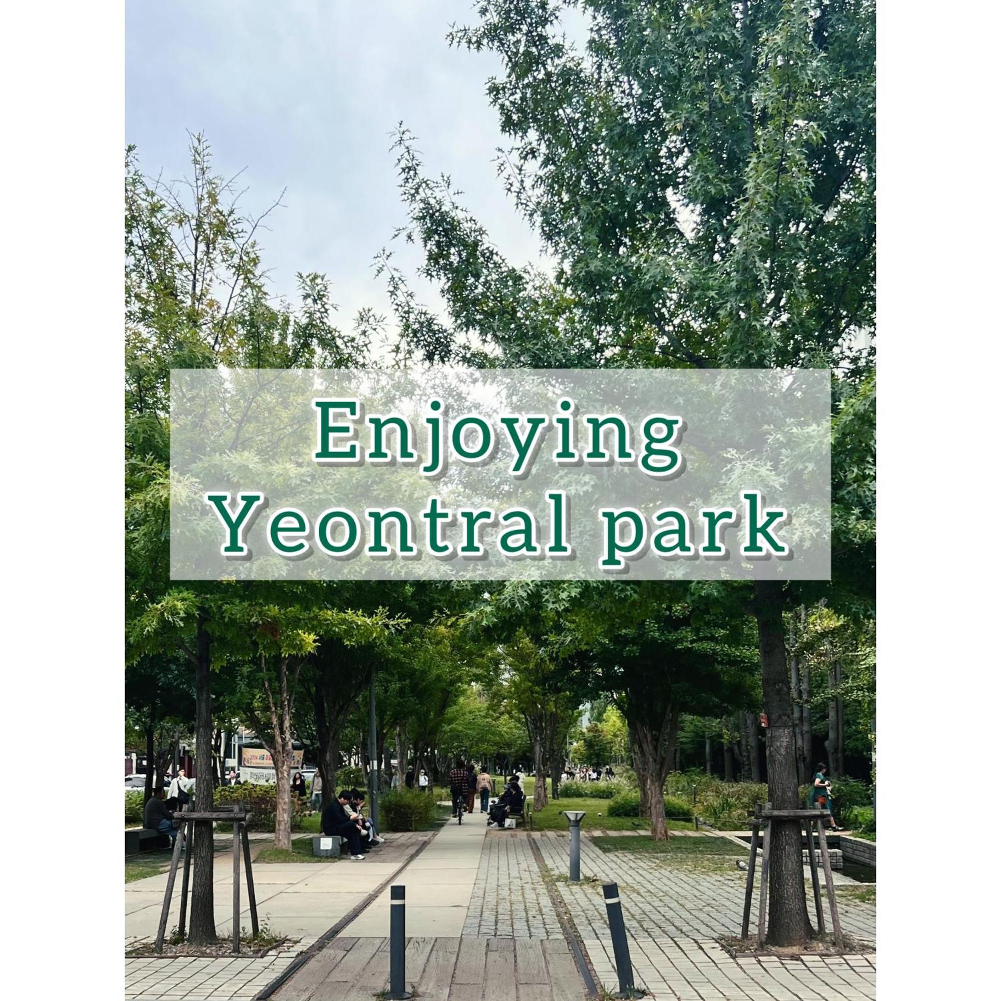 #new #seoul #hongdae #3bds #1ba #private #1fl Sabrina In Yeonnam